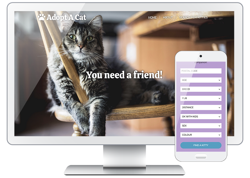 preview of cat adoption app on iphone and imac